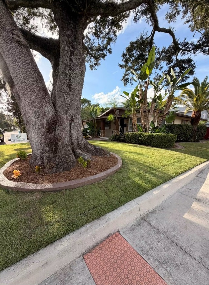 Curb appeal, considered