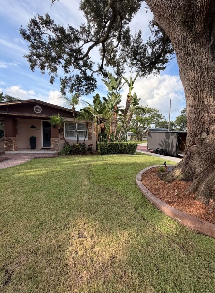 Lawn & property care