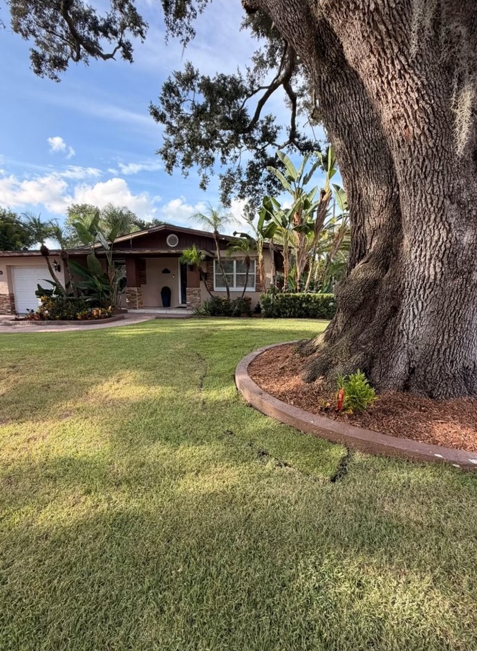 Tropical planting and manicured lawn by Surf N Turf