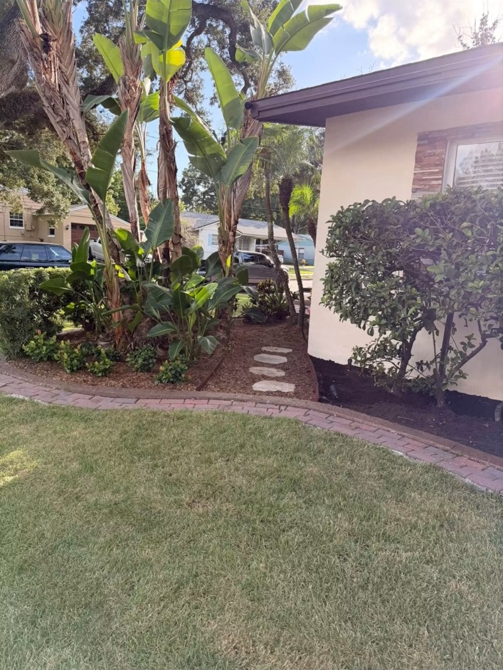 Plants, palms & irrigation